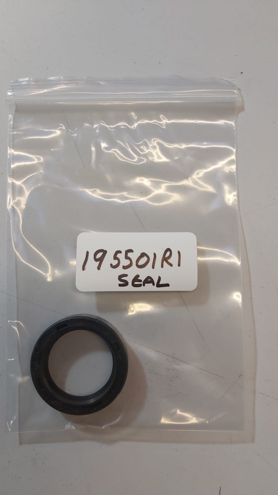 seal-195501m1