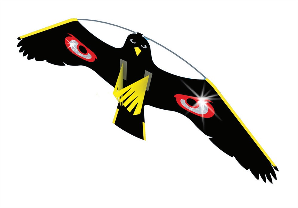 terror-kite-and-terror-hawk-silent-bird-scaring-kites